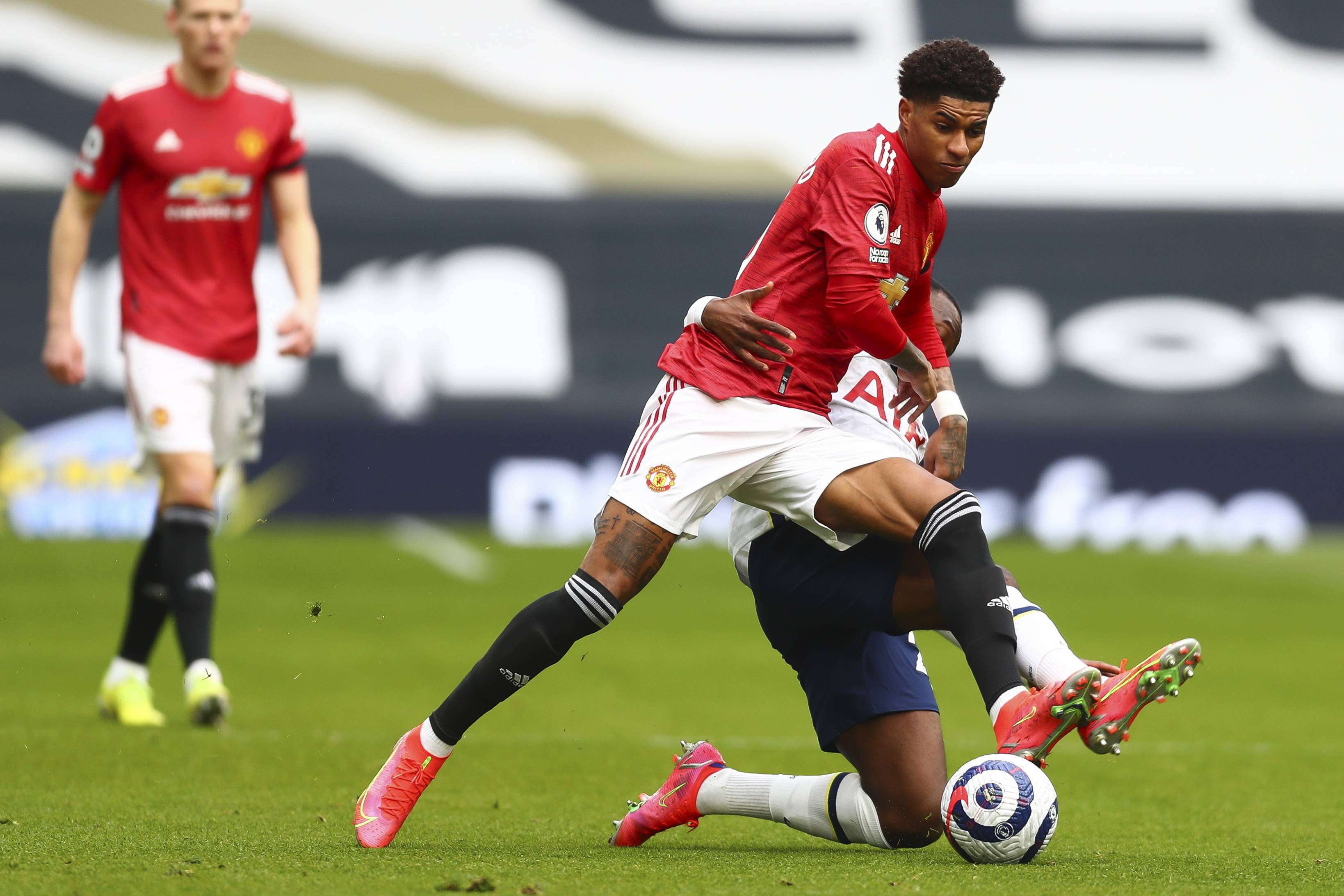 耐心的浇灌 耐心的浇灌